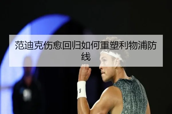 范迪克伤愈回归如何重塑利物浦防线（leyu）